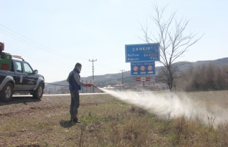 Çankırı Belediyesinden Halk Sağlığı İçin Tempolu Çalışma