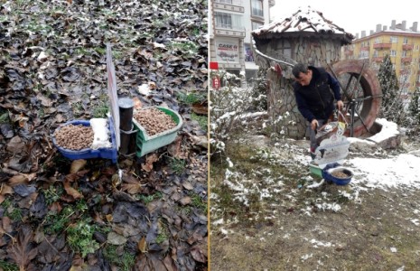 Çankırı’da Sokak Hayvanları İçin Kış Hazırlığı