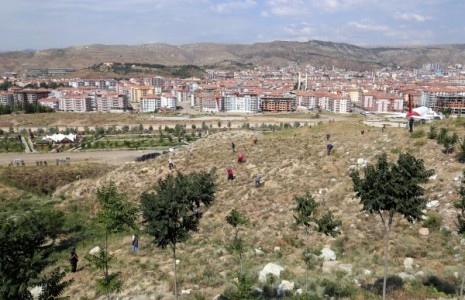 Esentepe Yamacındaki Ağaçlar İçin Sulama Çalışması Başladı