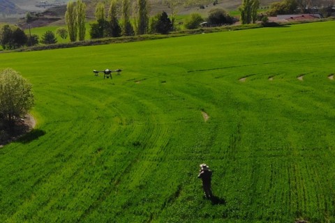 Belediyenin Buğday Tarlası Drone Yardımı ile Gübrelendi