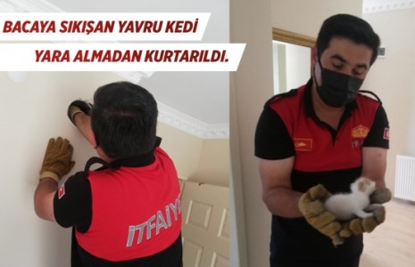 Bacaya sıkışan yavru kedi yara almadan kurtarıldı