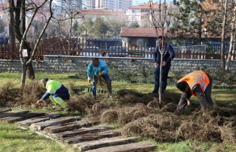 Çankırı’da Budama Çalışmaları Başladı