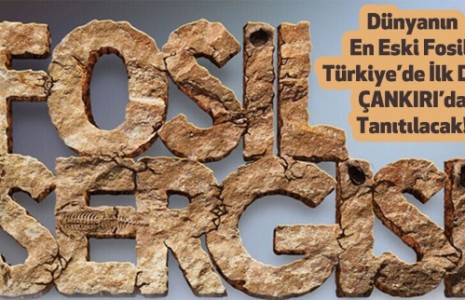 Paleontoloji Bilimi Geçmişin İzleri Sergisi Çankırı’da