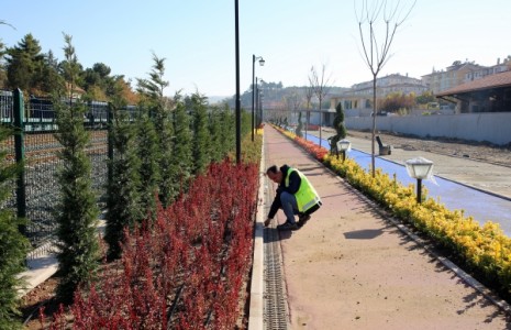 TCDD Parkı ve Açık Hava Müzesi’nde Peyzaj Çalışmaları Başladı