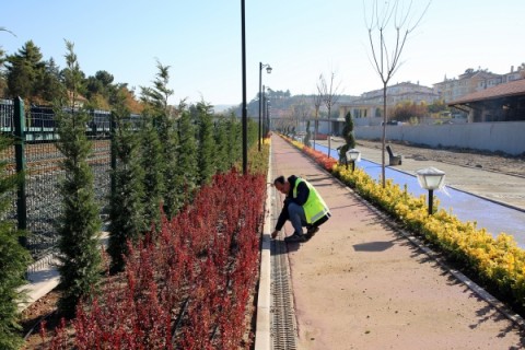 TCDD Parkı ve Açık Hava Müzesi’nde Peyzaj Çalışmaları Başladı