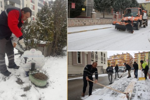 Belediye Ekipleri Vatandaşlar ve Sokak Hayvanları İçin İş Başında