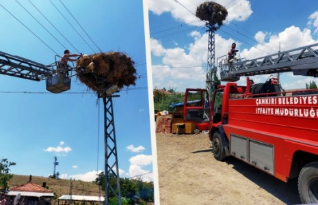 Tellere Takılan Yavru Leylek Kurtarıldı