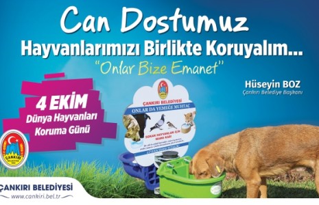 Başkan Boz, “ Her Canlının Yaşam Standardı Bizi İlgilendiriyor”