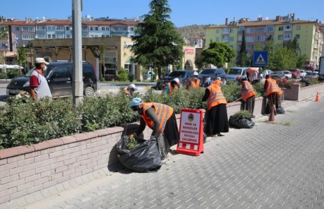 Yeşil Alanlarda Temizlik Çalışmaları Başladı