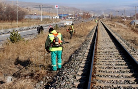 Yabani Otlar Temizleniyor