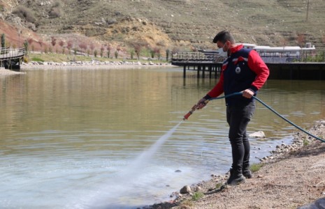 Halk Sağlığı İçin İlaçlama Çalışmalarına Devam