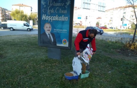 Çankırı Belediyesi Can Dostlarına Hizmeti Yoğunlaştırdı