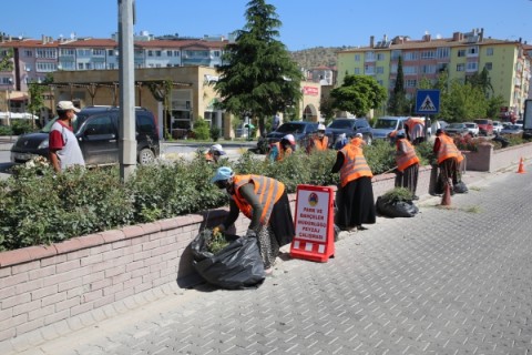 Yeşil Alanlarda Temizlik Çalışmaları Başladı