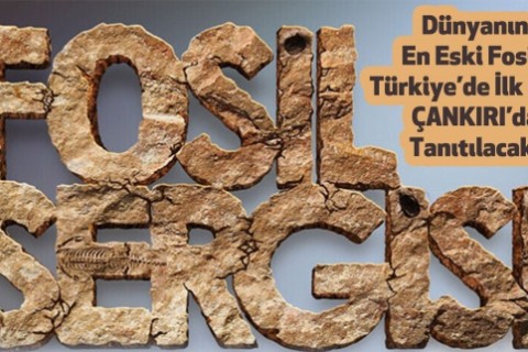 Paleontoloji Bilimi Geçmişin İzleri Sergisi Çankırı’da