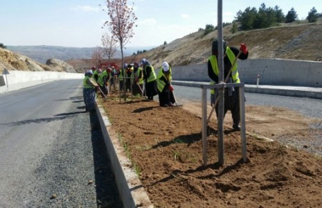 Uluyazı Yerleşkesi Yolunda Orta Refüj Çalışmaları Devam Ediyor