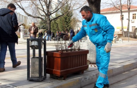 Şehir Merkezindeki Saksılar Boyanıyor