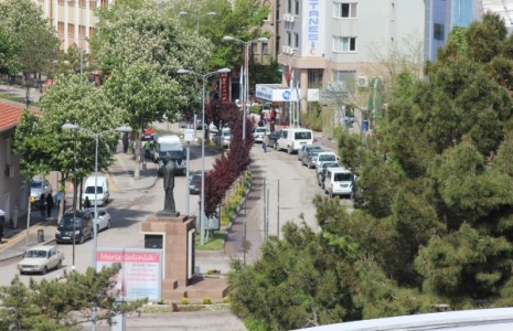 Fuar Yolu ve Atatürk Bulvarı Yeşillendirildi