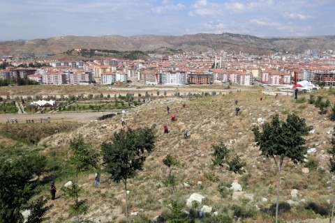 Esentepe Yamacındaki Ağaçlar İçin Sulama Çalışması Başladı