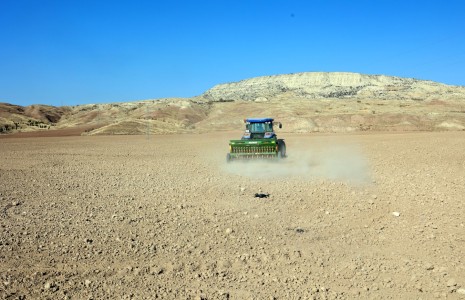 Çankırı Belediyesinin Buğday Tohumu Ekimi Başladı