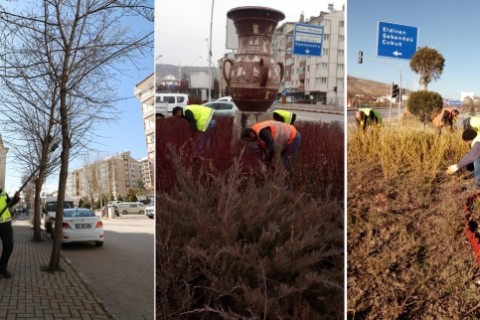 Çankırı Belediyesi Budama Çalışmalarına Devam Ediyor