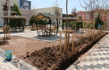 Çankırı Belediyesi’nin Yazlık Peyzaj Çalışmaları Yoğun Geçiyor